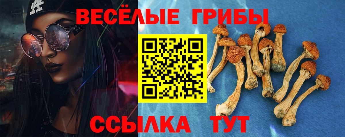 Борисоглебск  Псилоцибиновые грибы MAGIC MUSHROOMS  Вход с VPN  Псилоцибиновые грибы ЛСД 